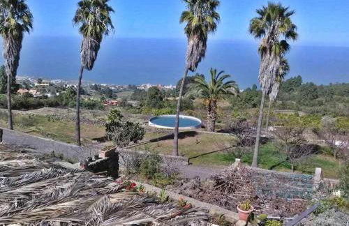 Finca los tamarillos - Foto 12