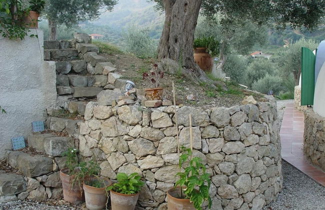 Giardino di Sicilia - Foto 46