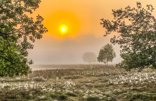 Stay at This Beautiful Accommodation in De Kiel - Photo 24