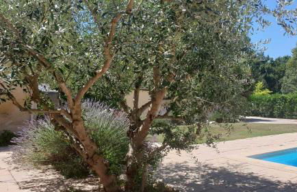 Typical farm with private pool close to the Ventoux 8 persons - Foto 38
