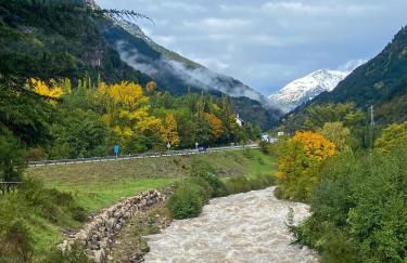 CALMFRANC ático abuhardillado con vistas al río y la montaña Avistamiento de ciervos en Canfranc Pueblo - Foto 53