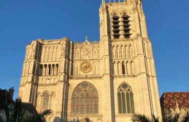 Joli appart F2, les 3 croissants, centre ville - Foto 13