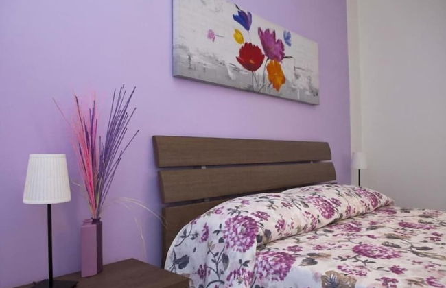 Agriturismo Villa Serra d'Elci - Foto 4