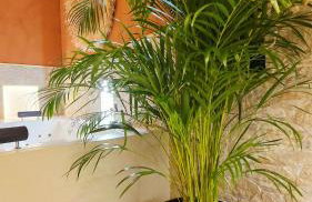 Escape Zen - Suite and Spa - Foto 24