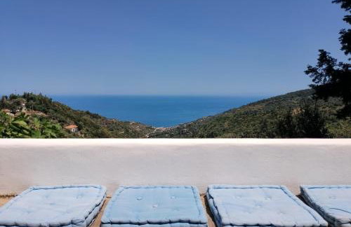 Blue Vista-Ikaria - Photo 1