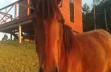 Cabana Deck 2 - Foto 23