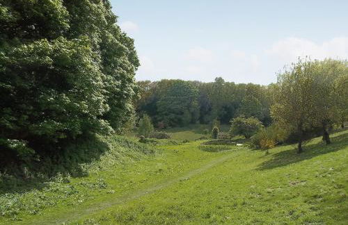 Cobble Stones - Photo 7