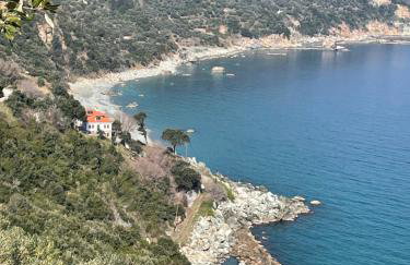 Siki House - Photo 22