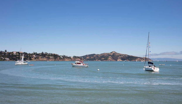 Pendant la balade en bateau sur la baie