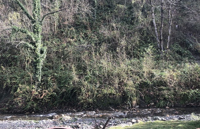 BLS Bungalove Sapanca - Foto 32