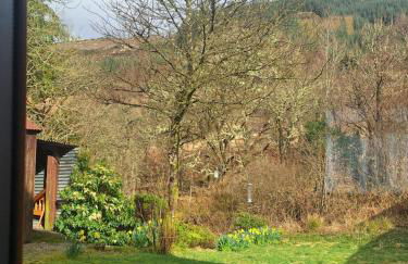 Twin Deer Lodge - Foto 42