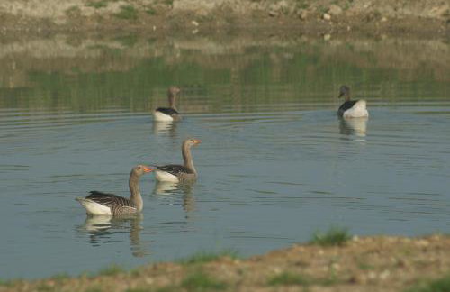 The Old Pump House - Photo 10