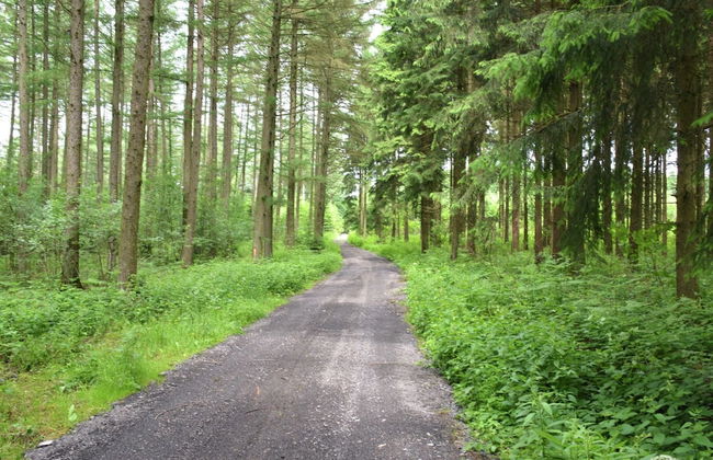 Cozy Farmhouse Near Houffalize - Photo 27