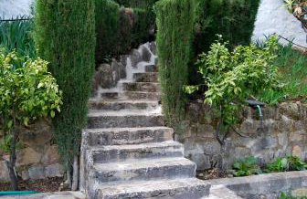 El Masegal - Photo 59