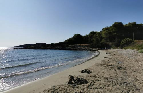 Sunrise Apartments - Foto 3