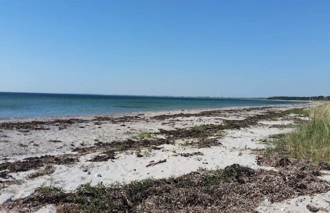 Simplistic Holiday Home in GÃ¸rlev near Sea - Photo 48