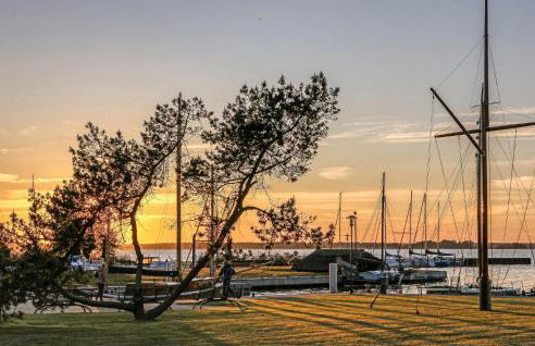 Ferienhaus Bodstedt - Foto 24