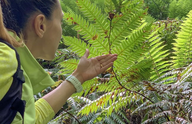 Tenuta Novecento Bio Agriturismo - Foto 42