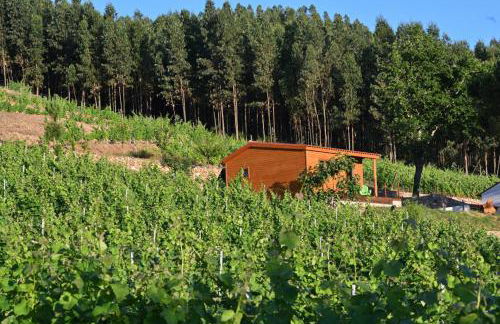 Quinta da Aldeia Nova - Foto 42