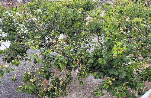 Casa El granero de Antonio - Foto 75