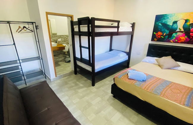 Coffee House Minca - Photo 8