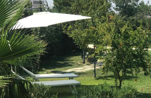 Green space - Foto 13