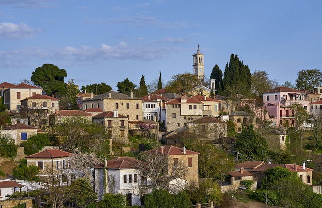 Eden Concept - Foto 64