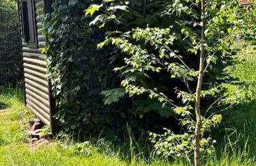 Lütt Heidjer Hus - Foto 26