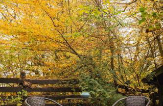 Romantische, alte Wassermühle - Foto 20