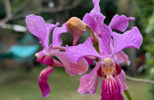 Pousada Lagoa do Rosa - Foto 29