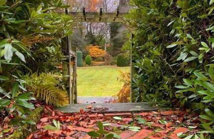 Hayes Suite - Foto 18