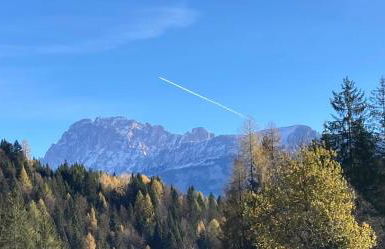 Appartamento Canes - Foto 16