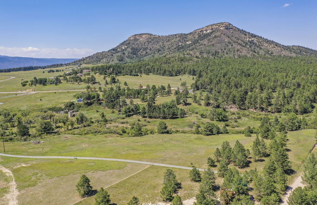 Tree Eagles Nest - Foto 46