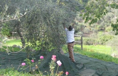 Agriturismo Al Poggetto - Foto 42