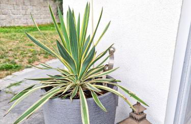 Ferienwohnung -Time to relax- bei Bamberg, mit herrlichem Blick auf das Maintal - Foto 34