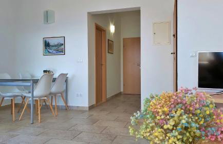 Apartments Borak - Foto 8