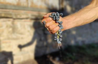 Casa Elisabetta - Foto 43