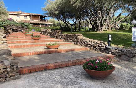 La tartaruga - Photo 39