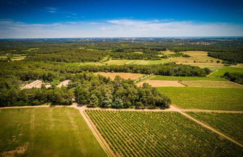 Gîte du Domaine Saint Jean De L'arbousier - Foto 8
