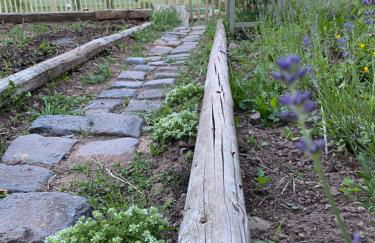 An der Walnuss - Foto 21