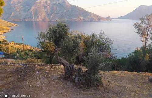 The traditional house-Skalia,kalymnos - Foto 23