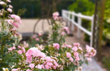 Gite les oiseaux_A Louvemont avec piscine chauffée - Foto 69