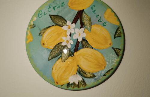 Citrus Verde - Foto 41