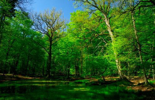 Agroturystyka Borówka - Foto 34