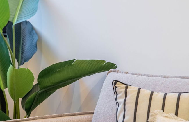 Matosinhos - Foto 54