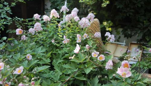 Ferienwohnung am Walnussbaum - Foto 5, Garden