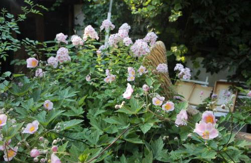 Ferienwohnung am Walnussbaum - Foto 5