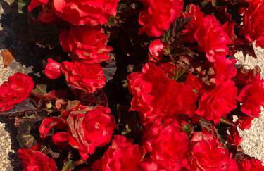 QUINTA DONA MANUELA - Foto 30