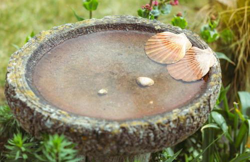 Beach Garden - Foto 21