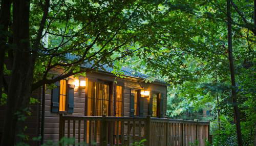 Disney Davy Crockett Ranch + Entradas - Foto 2, Other